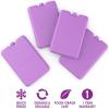 imageBentgo Ice Lunch Chillers  UltraThin Ice Packs Perfect for Everyday Use in Lunch Bags Lunch Boxes and Coolers  4 Pack BluePurple