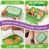 imageBentgo Kids BentoStyle 5Compartment LeakProof Lunch Box  Ideal Portion Sizes for Ages 3 to 7  Durable DropProof Dishwasher Safe PFAS ampamp BPAFree ampamp Made with FoodSafe Materials Citrus YellowGreen