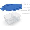 imageBentgo Glass Snack  LeakProof BentoStyle Snack Container with Airtight Lid and Divided 2Compartment Design  175 Cup Capacity for Meal Prepping and PortionControlled Snacking BlueBlue